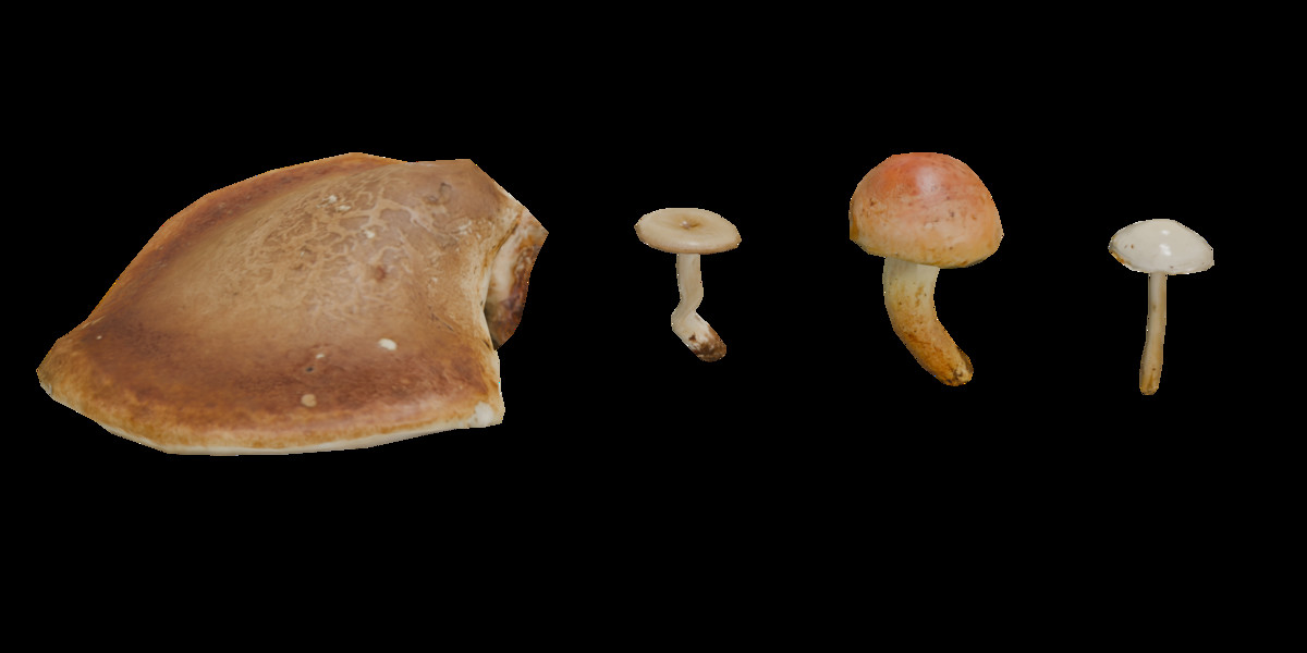 Mushrooms Bundle (62 Prefab + LOD)