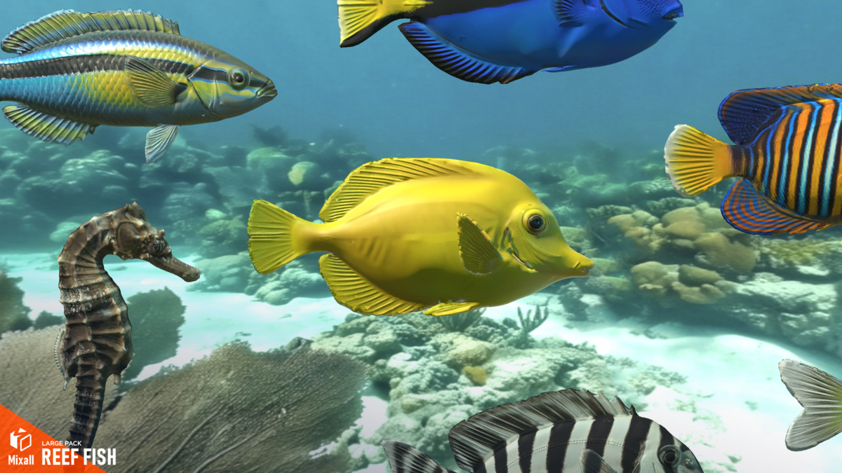 Reef fish - large pack