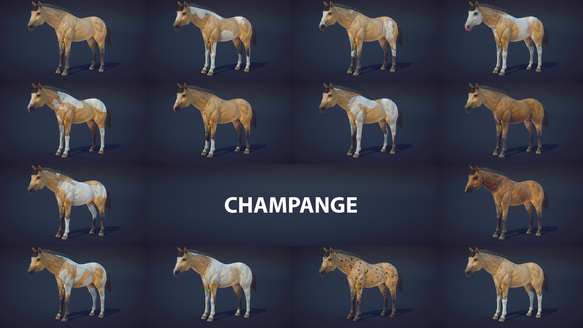 Horse Animset Pro 4 (140 Skin Add-on)