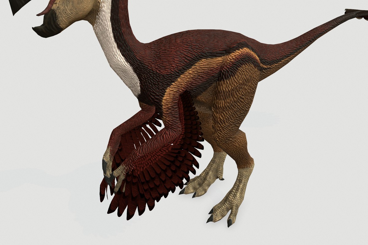 Oviraptor