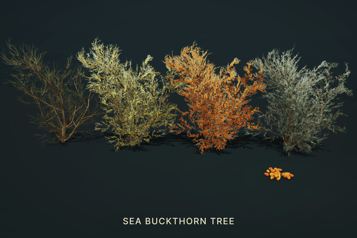 Wild Orchard: Hedgerow Trees | Harvestable Berries