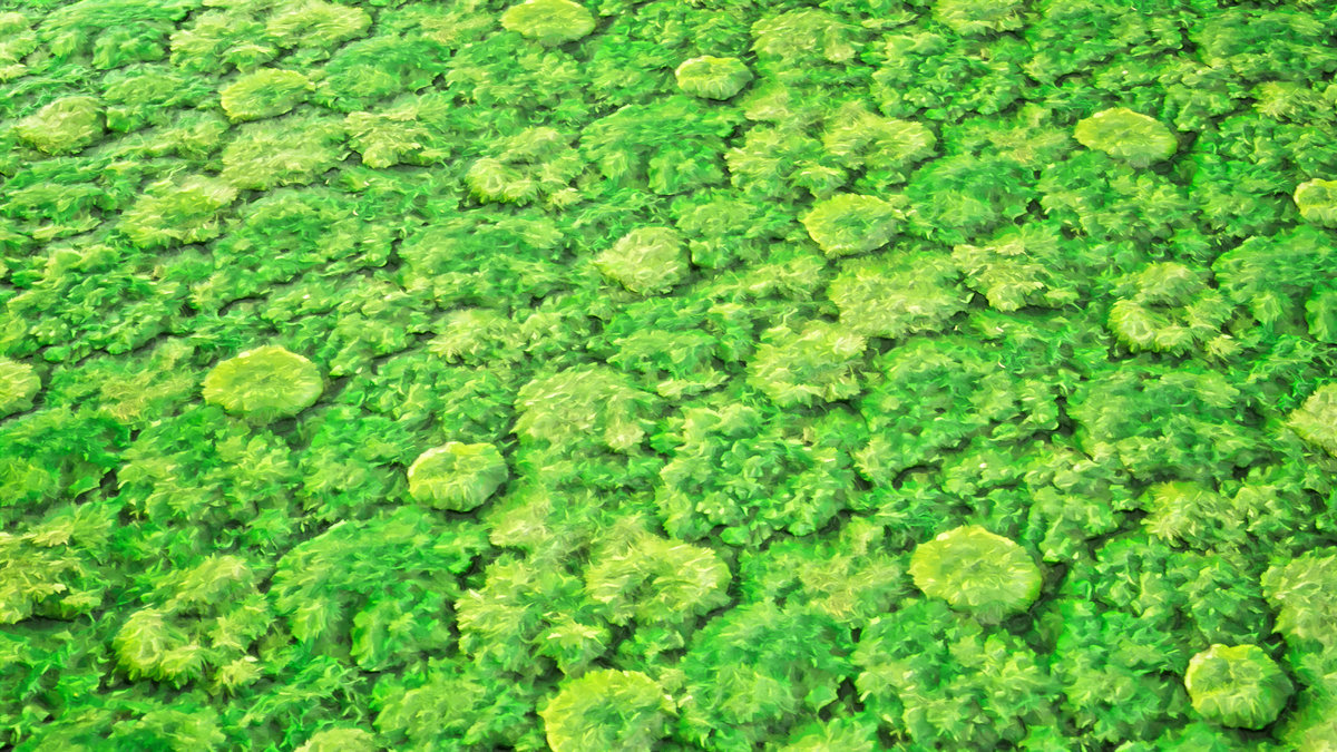 Stylized Materials - Moss 1