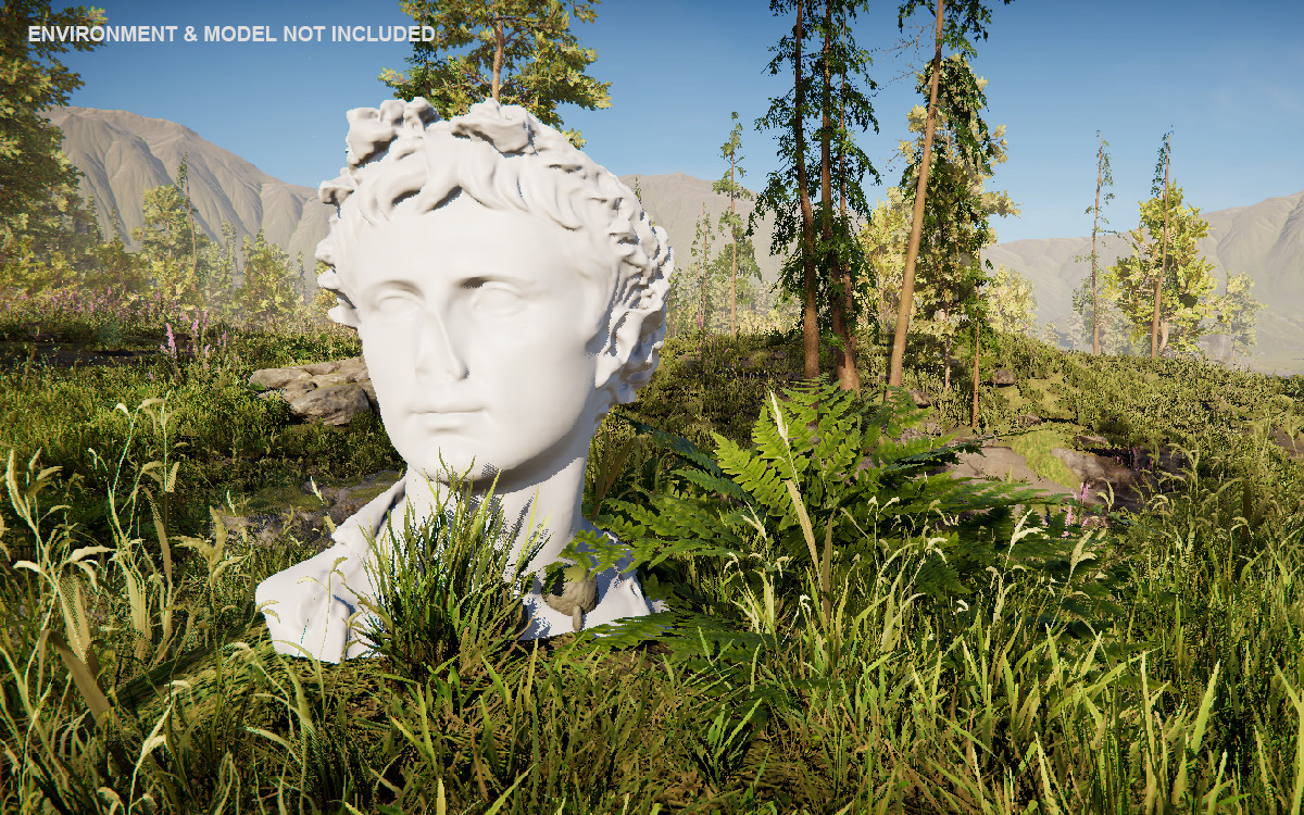 Customizable Rocks