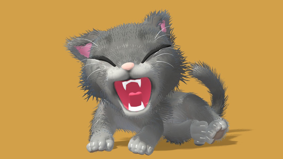 Cute Cat