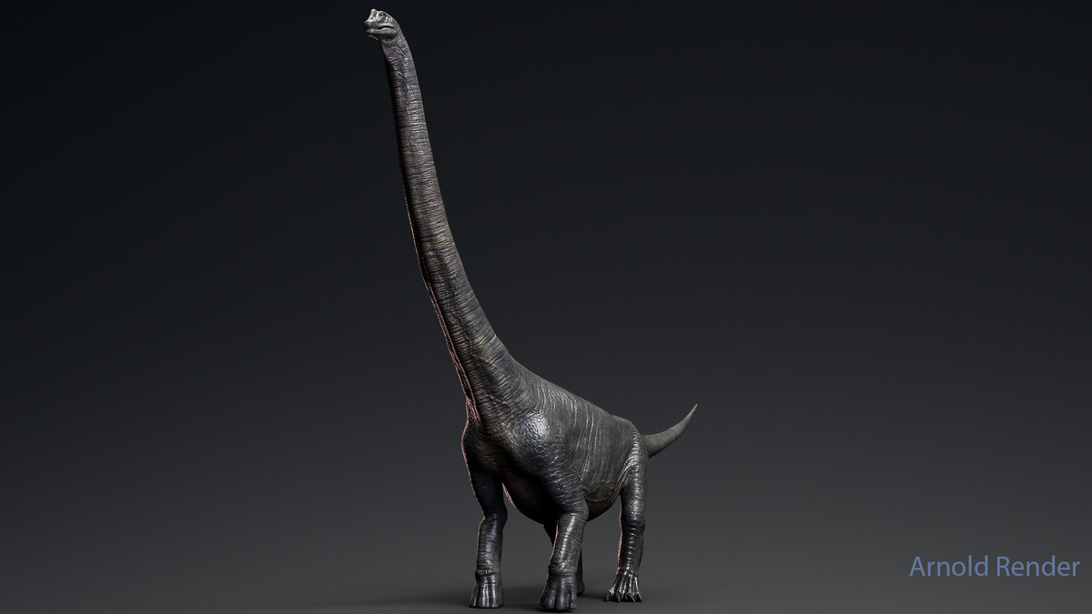 Dinosaur Argentinosaurus Sauropod