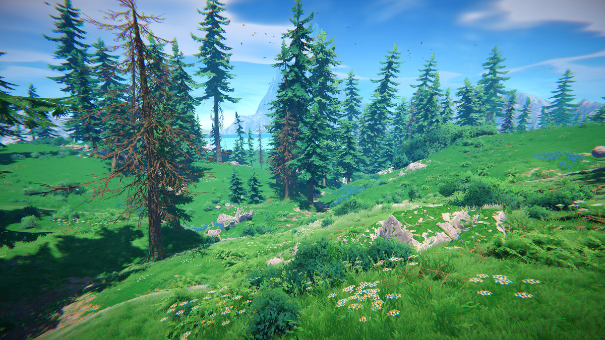 Adventure Nature Vol.7 Spruce Forest