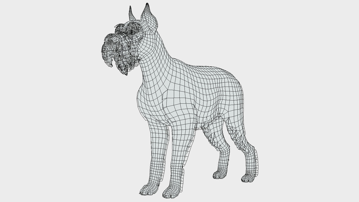 Dog - Schnauzer