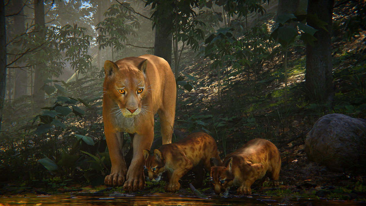 Realistic: Animal Forest Set