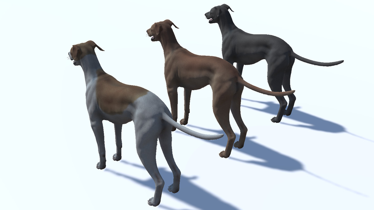 Dog -- Greyhound