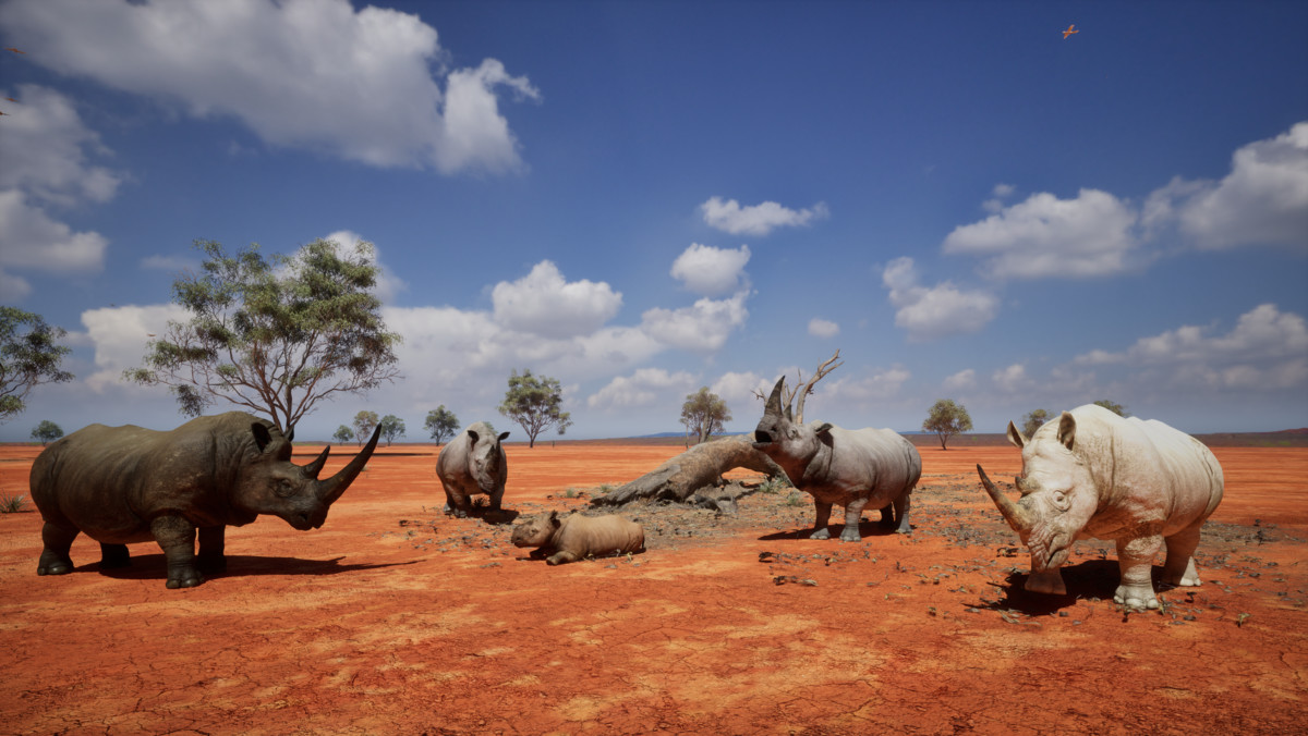Realistic African Rhinoceros