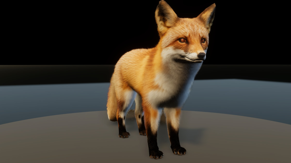 Forest Predators Collection - Realistic Animated Animals