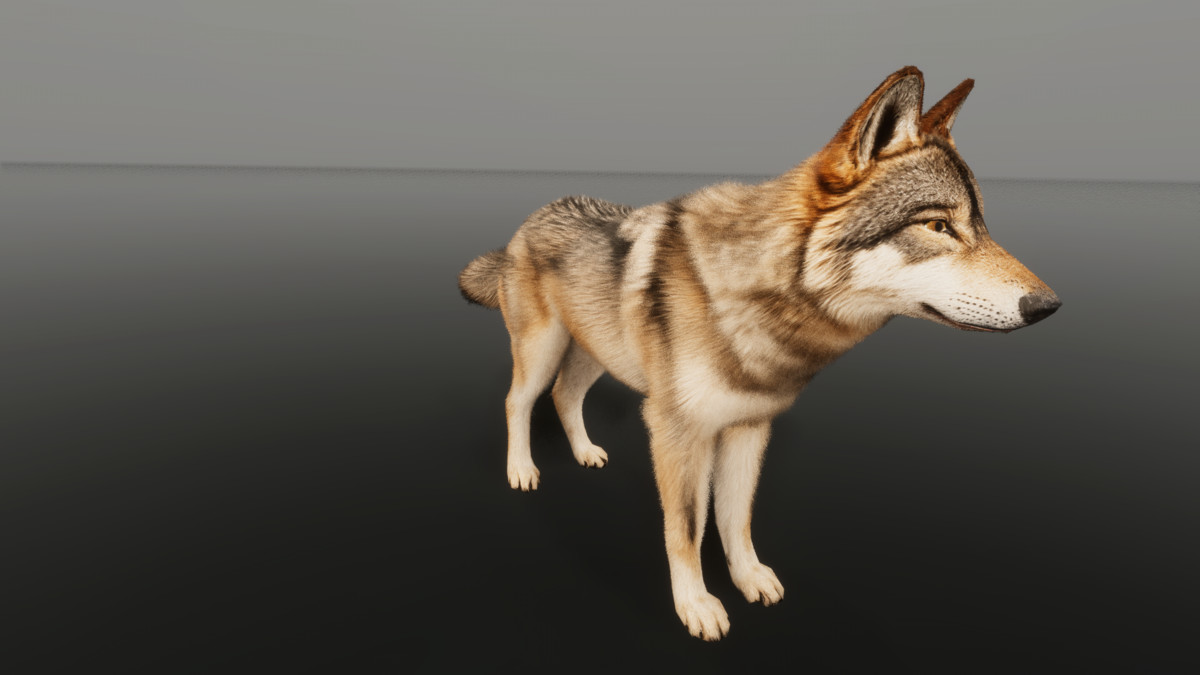 Ultrarealistic Forest Animals - Customizable Fur