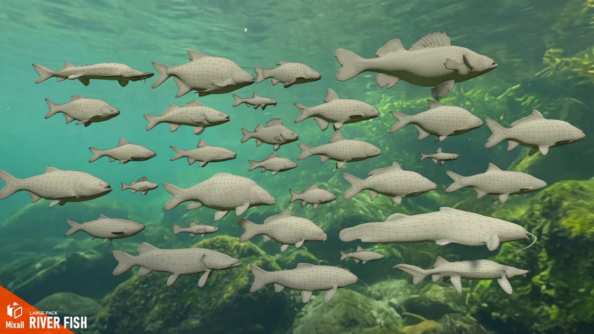 River fish - large pack