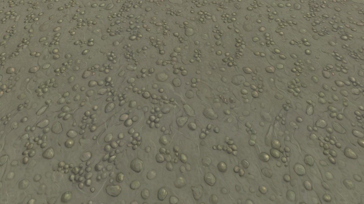 Stylized Textures - Vol 208 - Ground