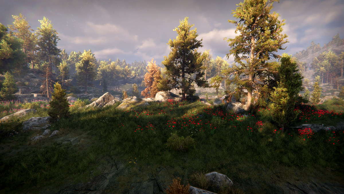 Tobyfredson - Nature Collection