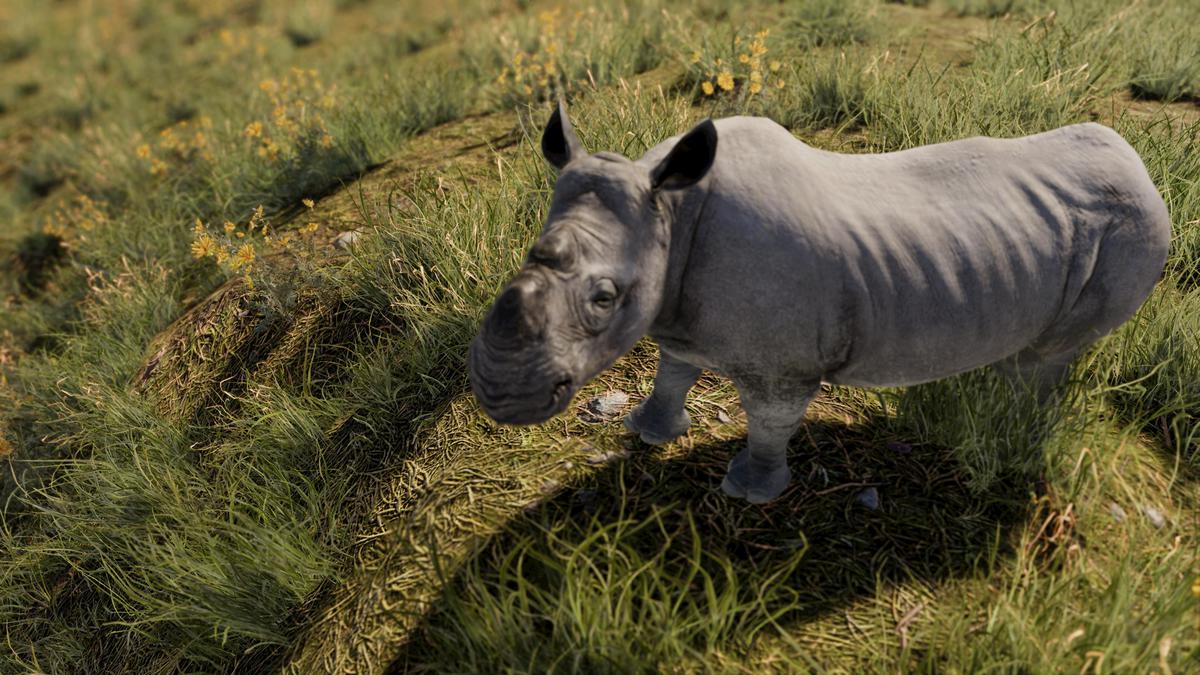 Realistic African Rhinoceros