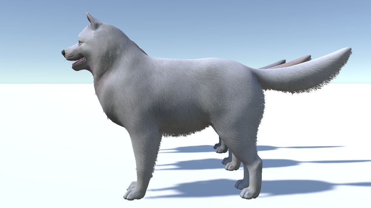 Dog - Samoyed