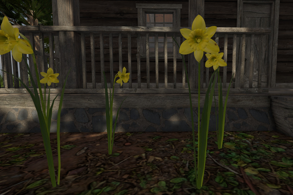 Wooden Log Hunting Cabin