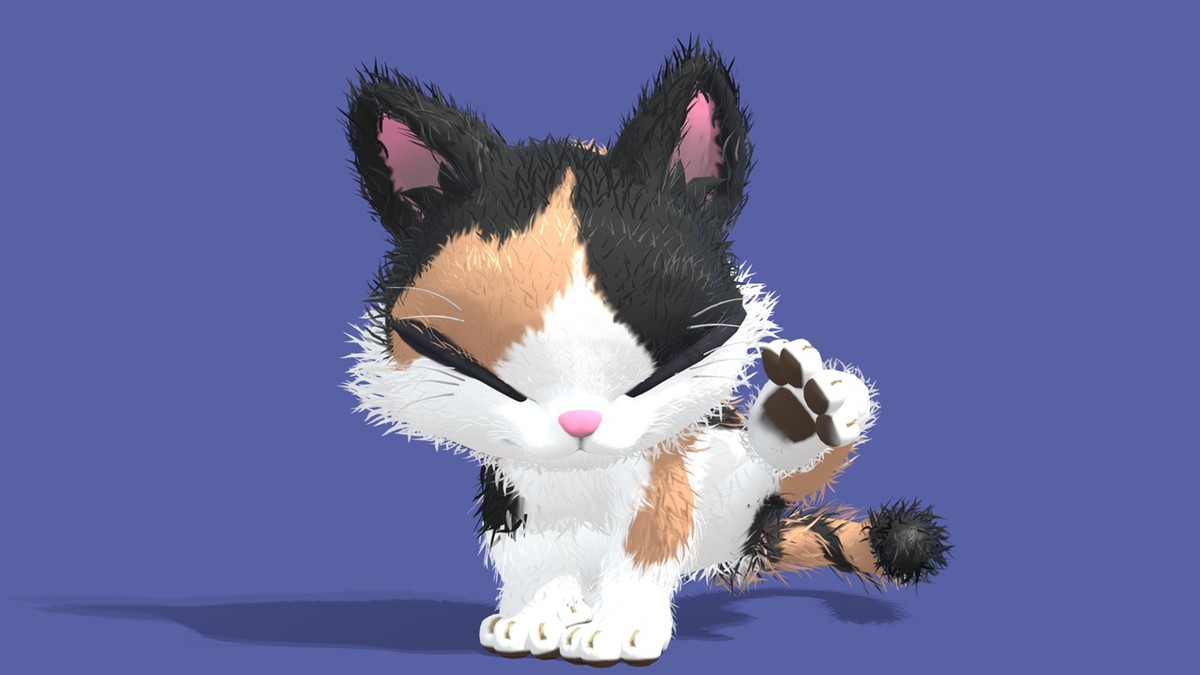 Cute Cat