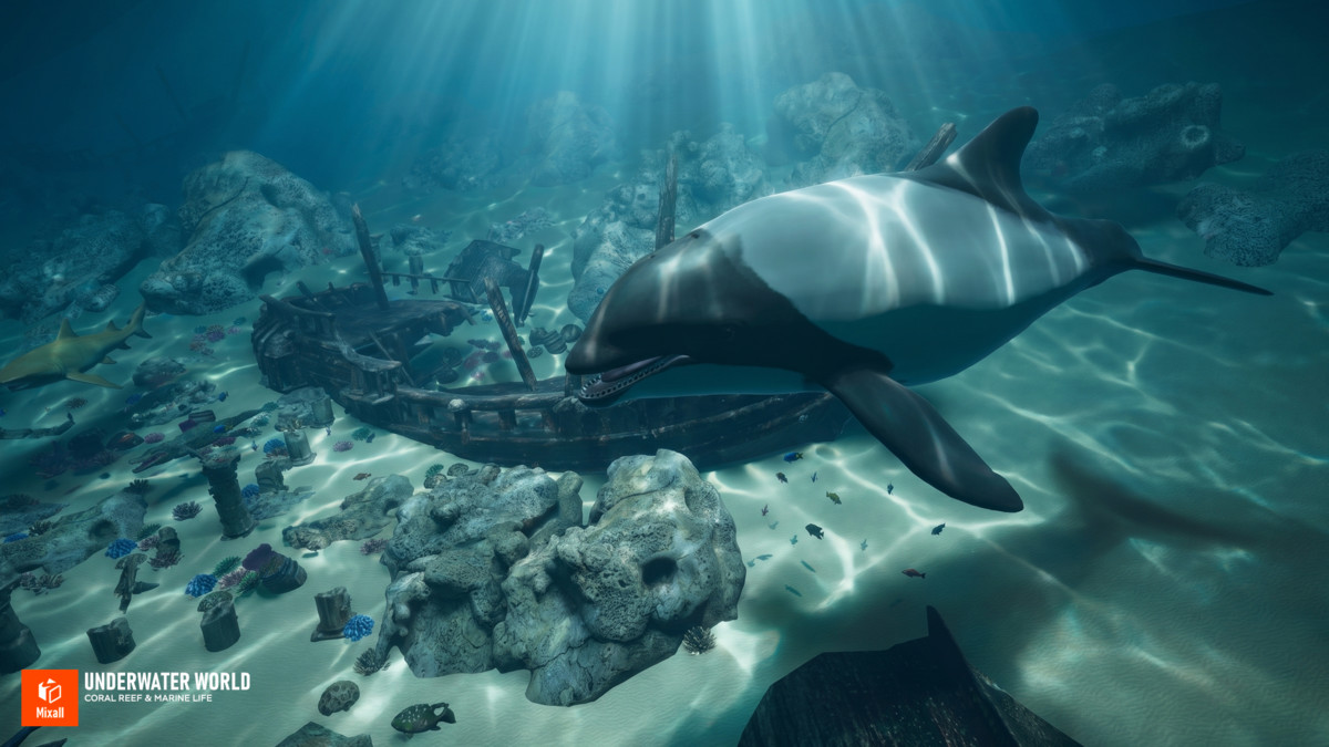 Underwater world - Coral Reef & Marine Life