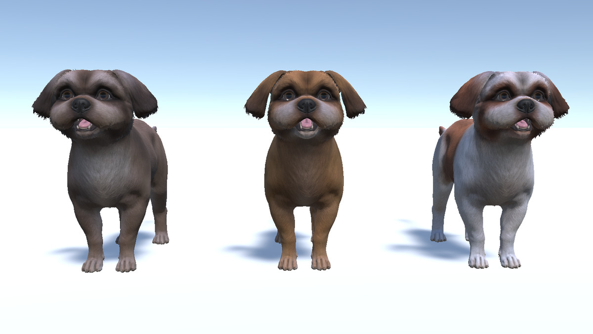 Dog - Shih Tzu