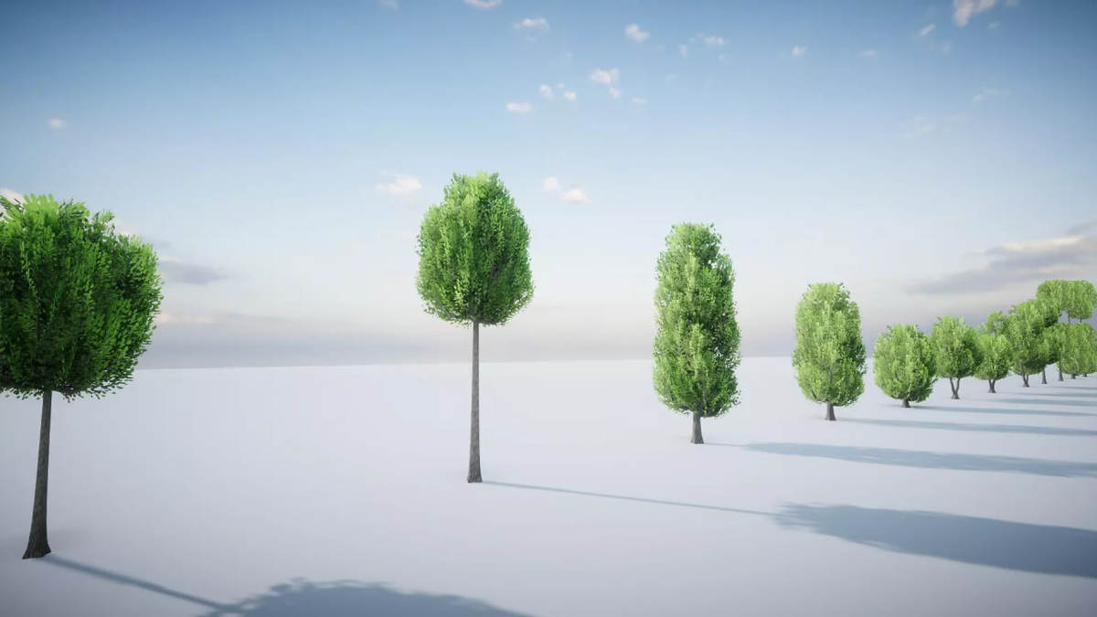 All Tree Bundle (All in One)