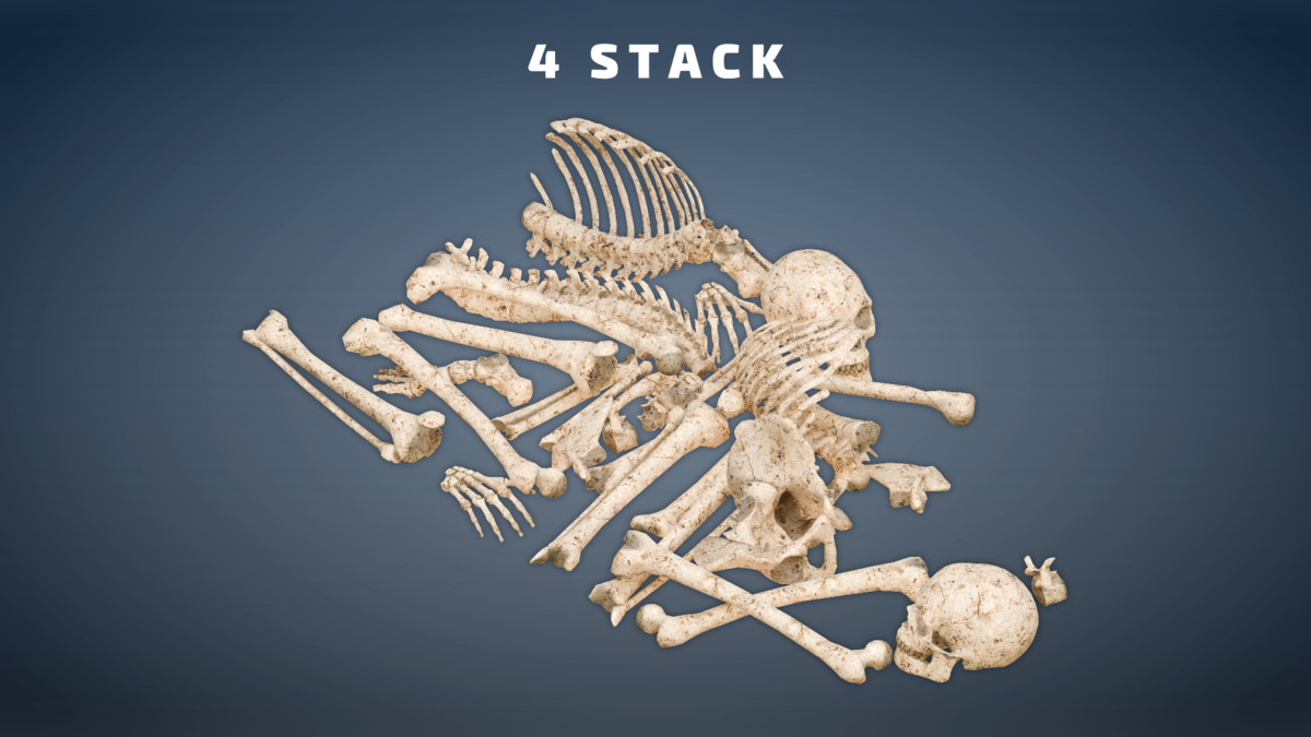 Skeleton Pack