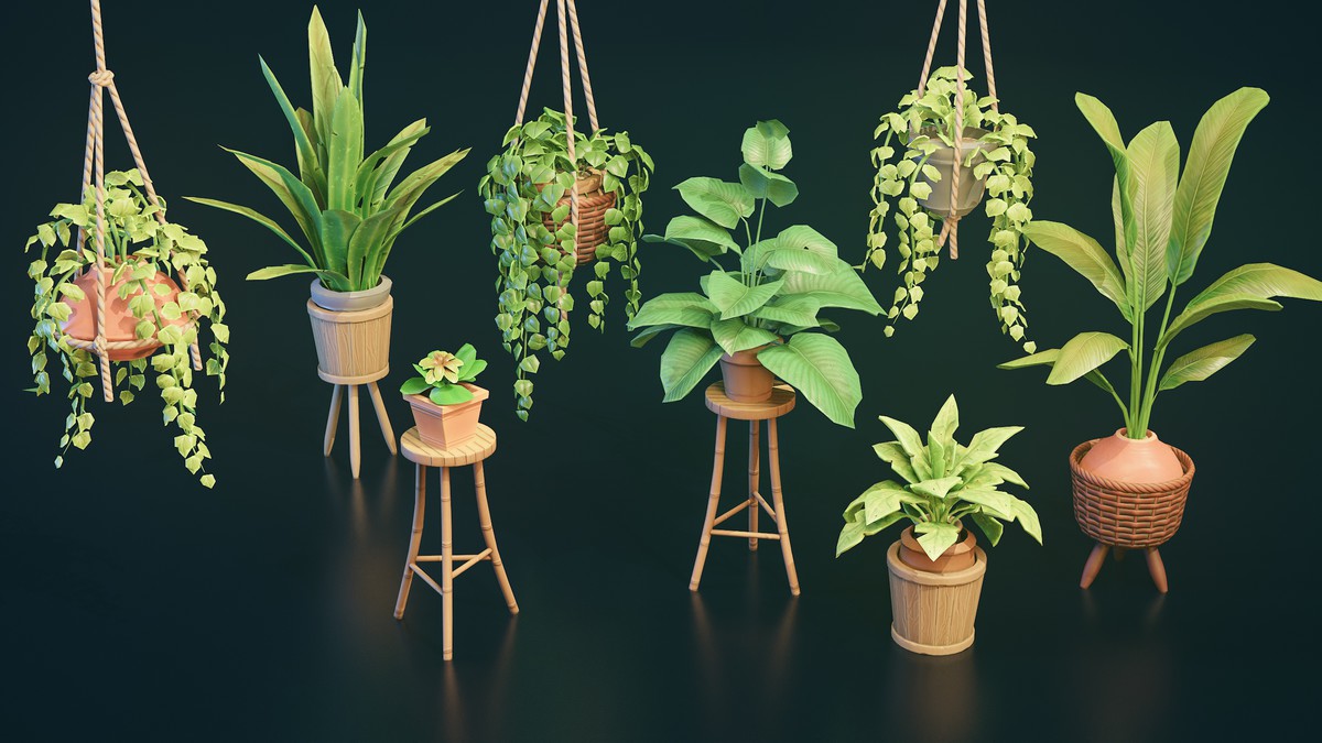 Stylized Home Plants