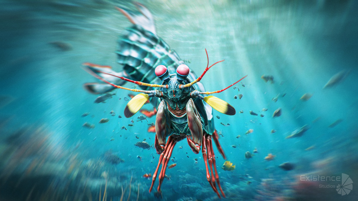 Crab - Coconut Crab - Mantis Shrimp - Sea Turtle - Nautilus - #70