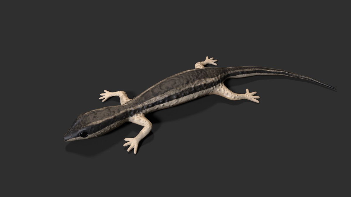 Freezable Lizards Pack 3D