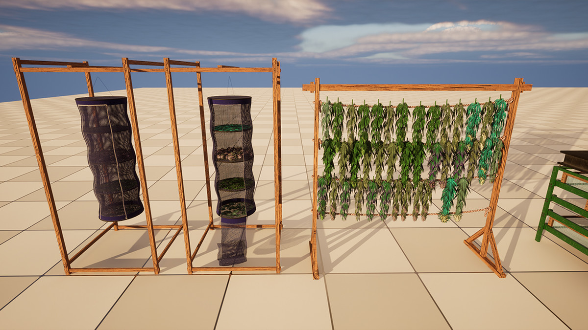 Cannabis (Hemp) Plant 3D Models Pack