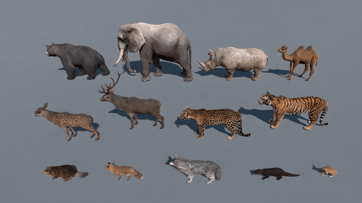 WILDPOLY - Animated Animals – Realistic Pack