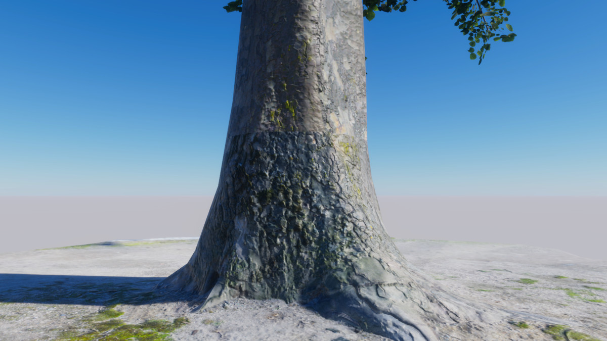 TimberGEN