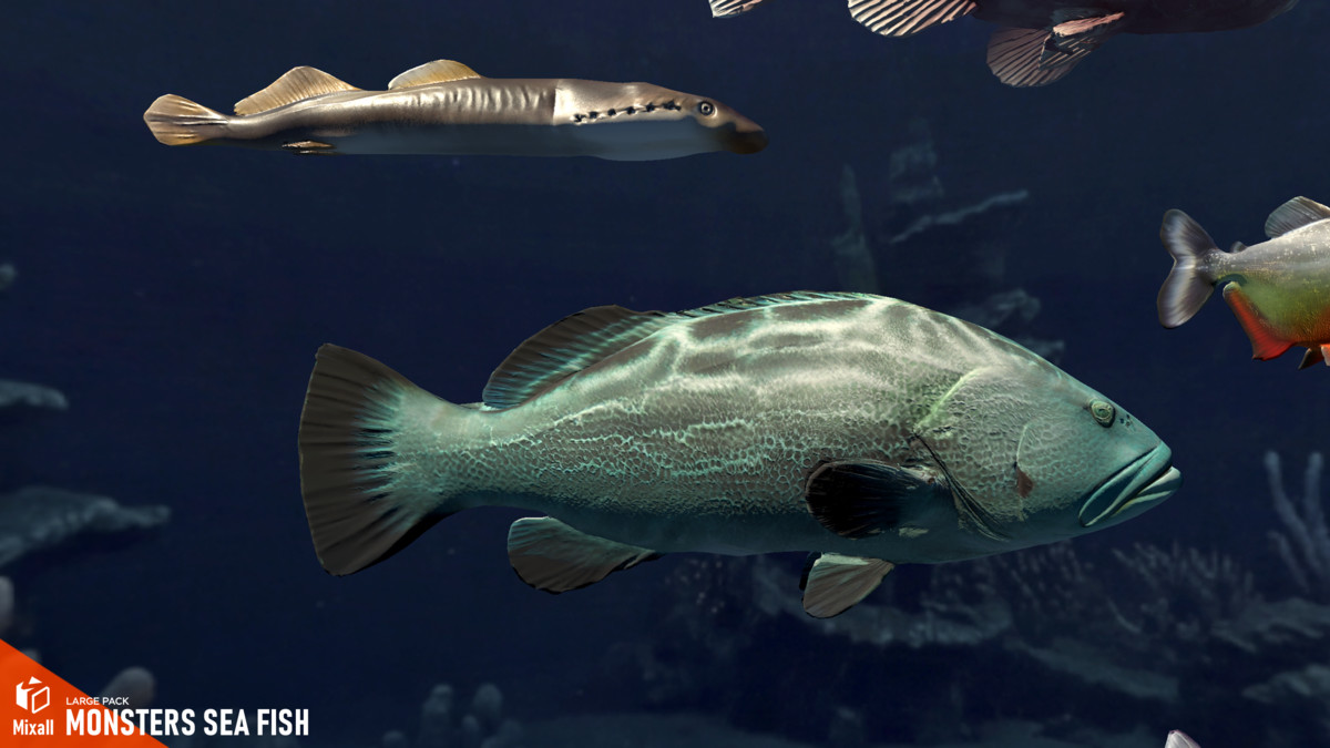 Monsters sea fish - large pack