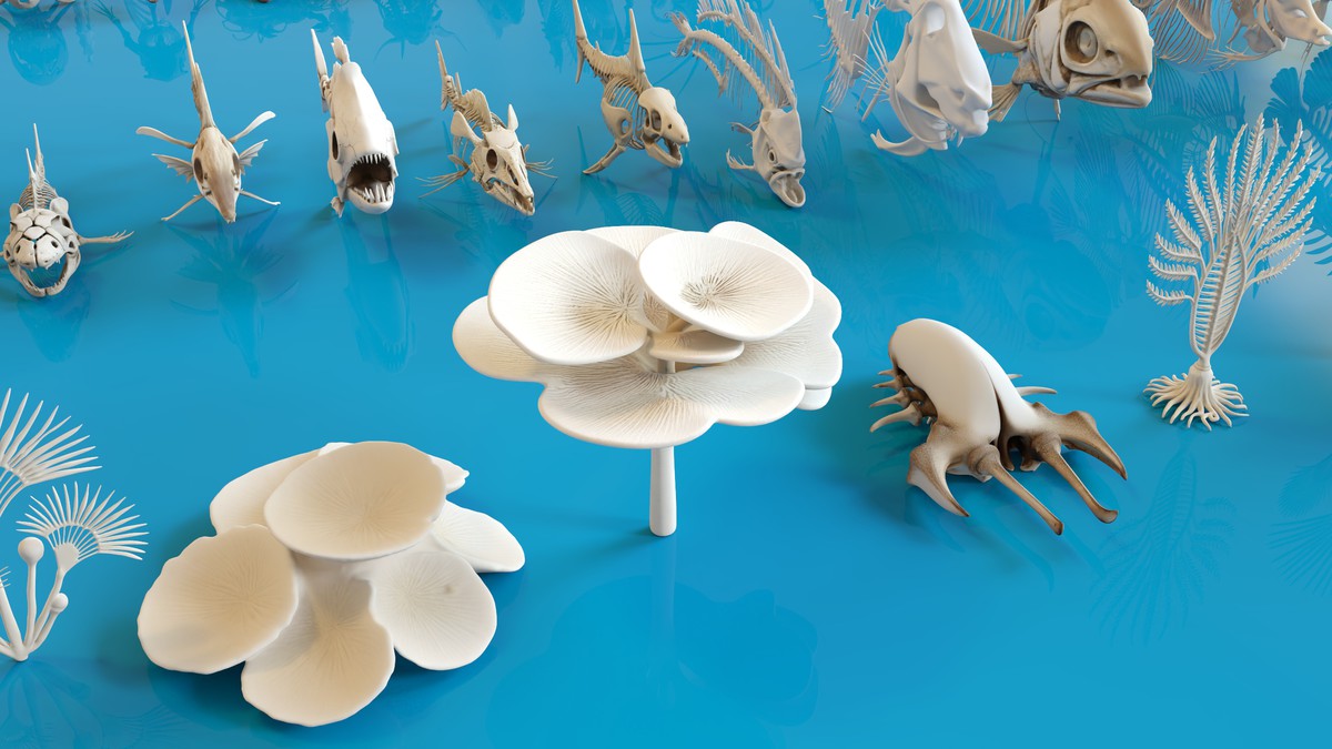 Fish and Underwater Creatures Skeleton Collection – Marine Bone 3D Asset Pack