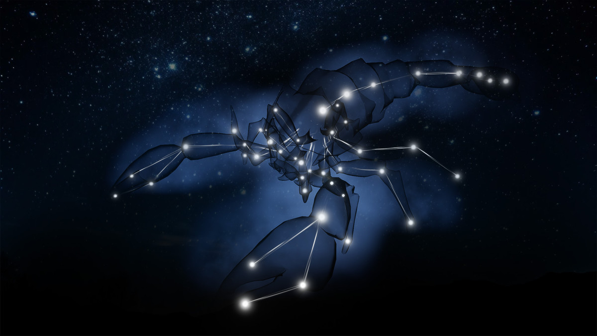 Star scorpion