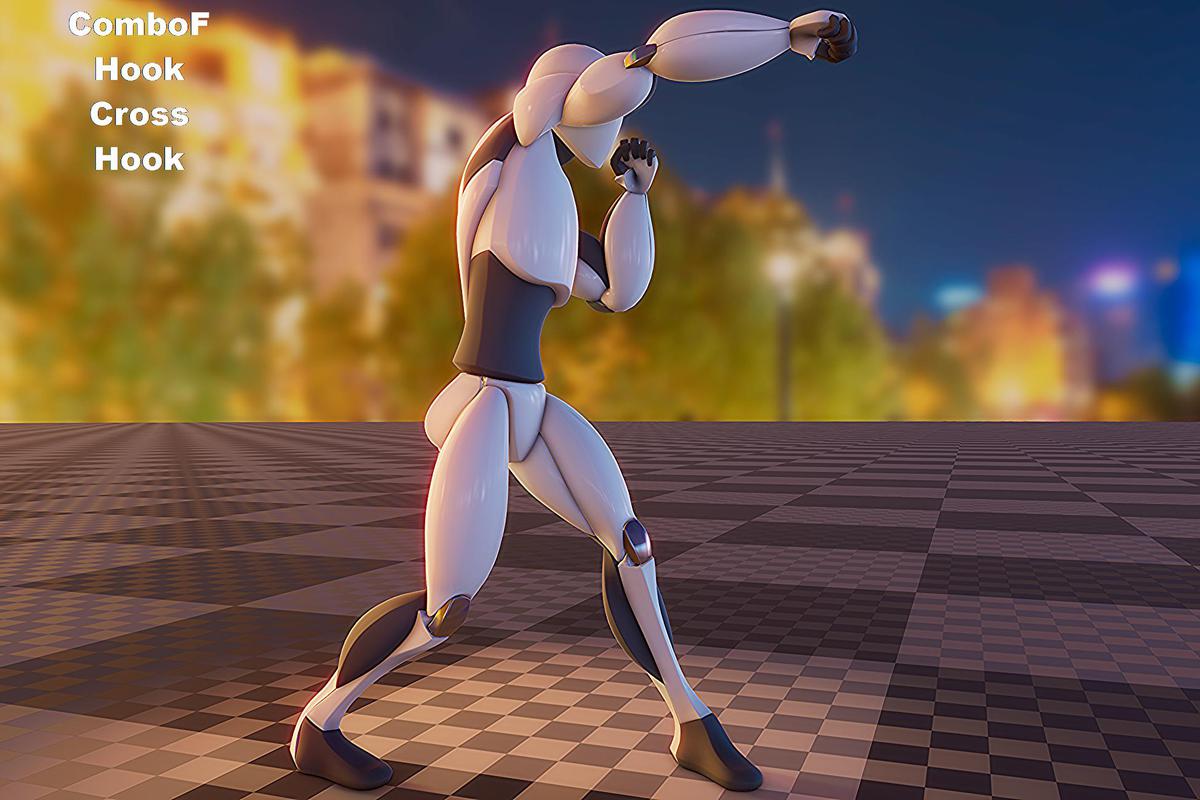 Boxing animation package