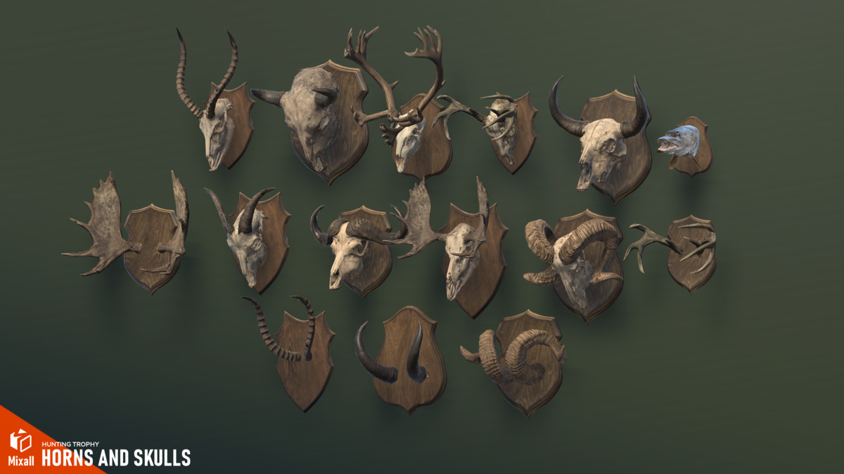 Horns and Skulls – Hunting Trophy