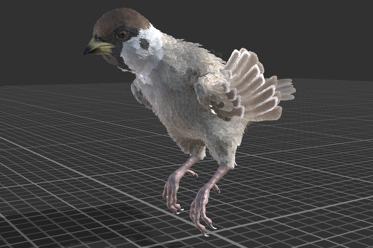 Sparrow Feathered