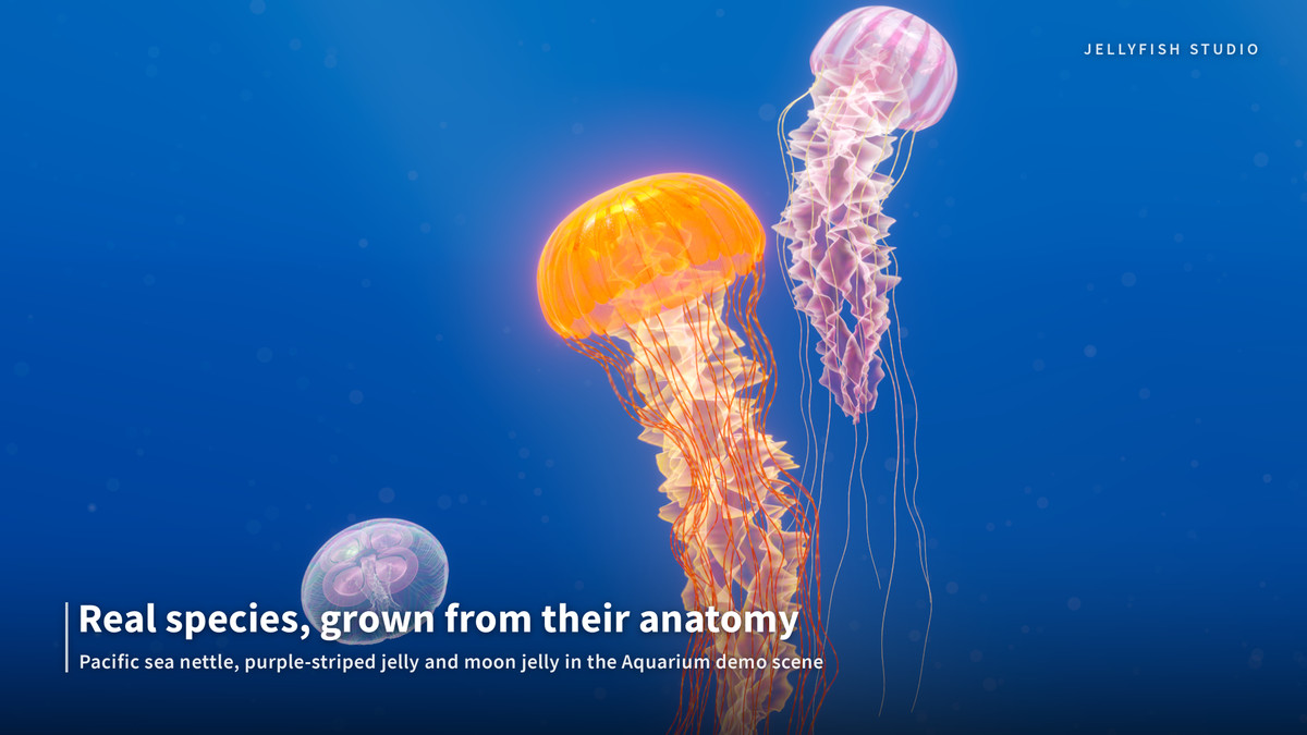 Jellyfish Studio — Procedural Jellyfish Generator