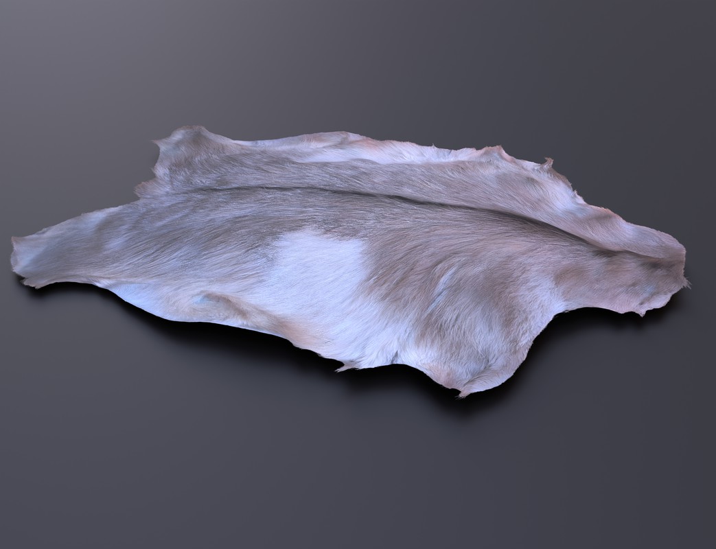 animal pelts volume two: cow, zebra, tiger, bear, deer, goat