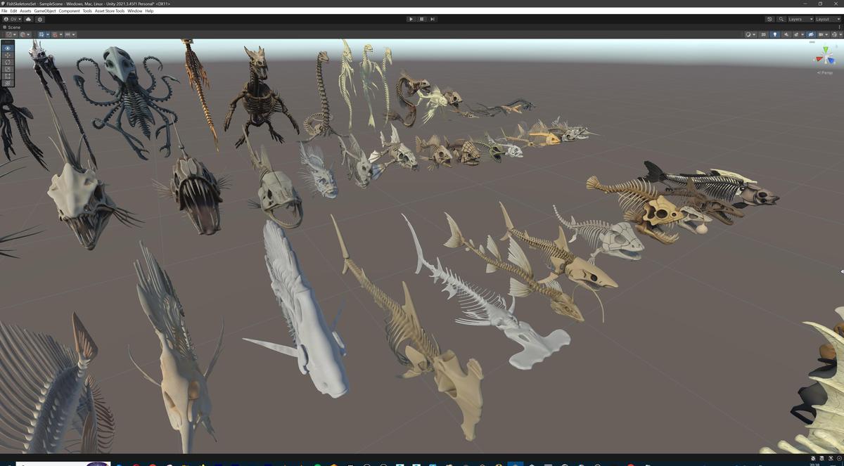 Fish and Underwater Creatures Skeleton Collection – Marine Bone 3D Asset Pack