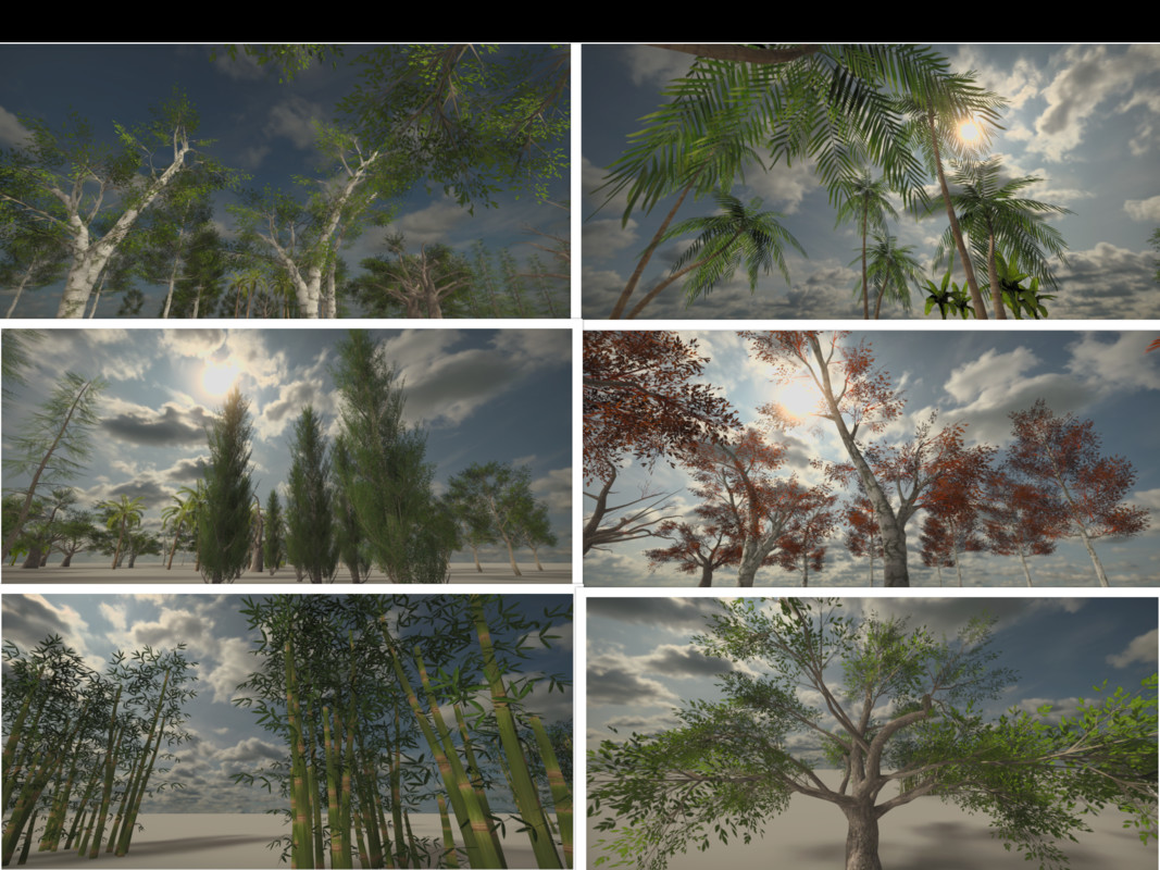 Realistic Trees & Foliage Bundle (Mobile Optimized)
