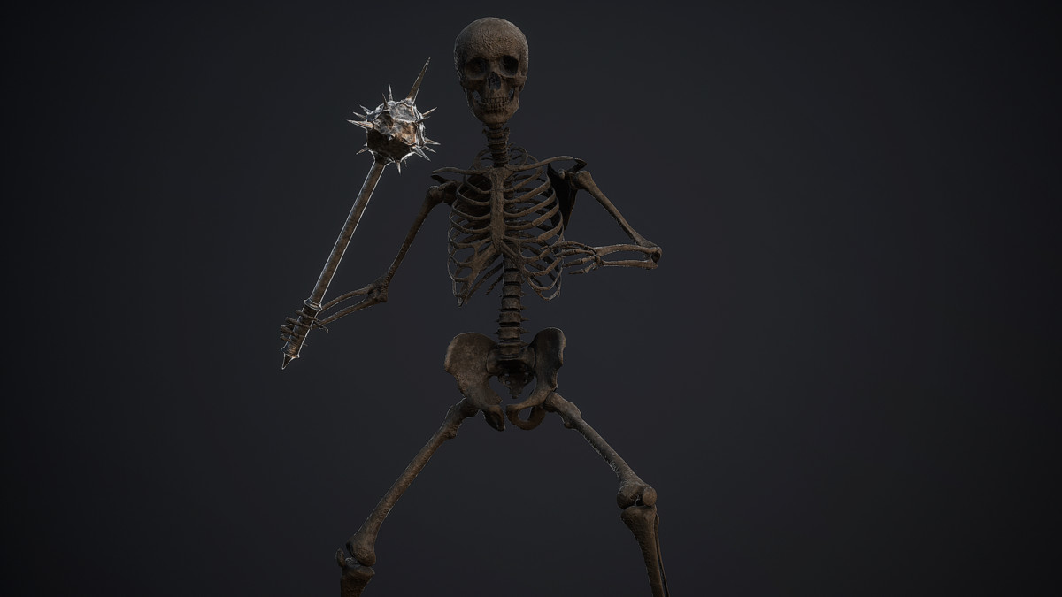 Skeleton Base