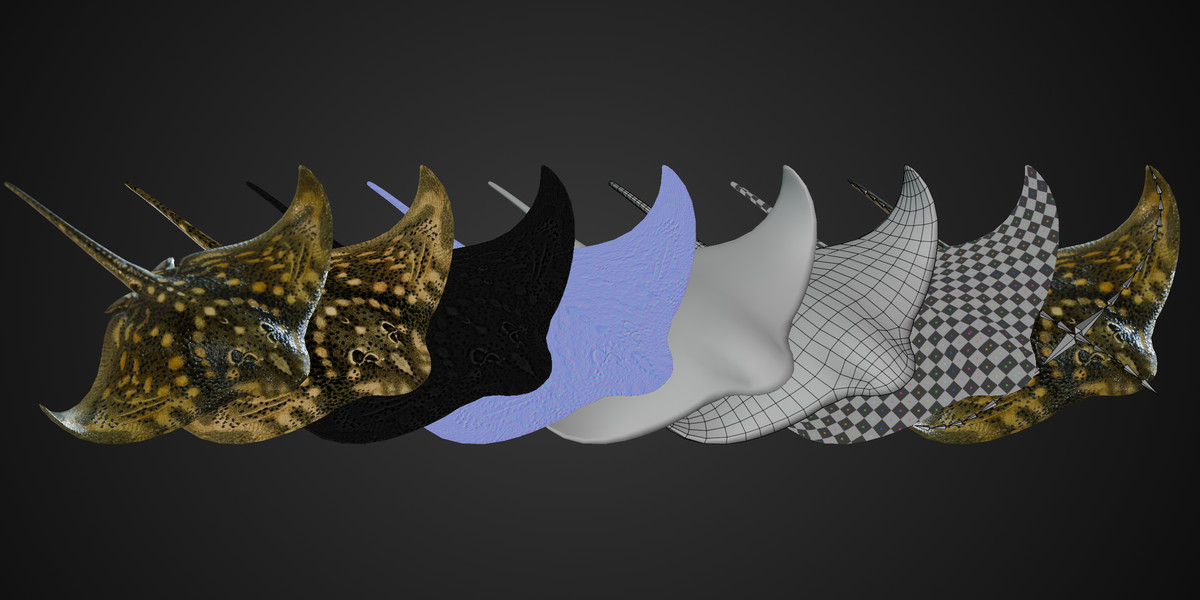 Animated Ray