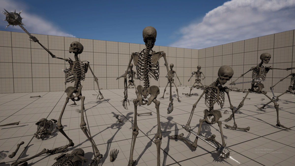 Skeleton Base