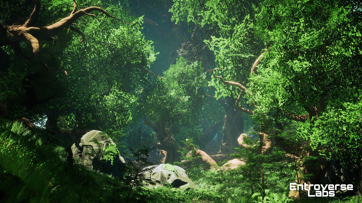 Whispering Grove Environment