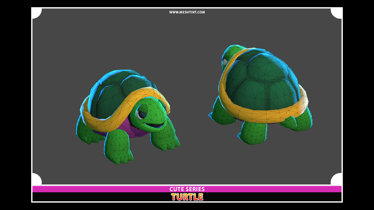 Turtle Evolution Pack Cute Pro Series