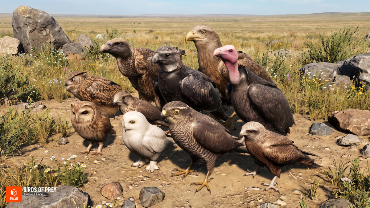 60 Birds - Full Animals Pack