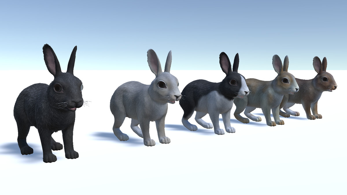 Rabbit Family